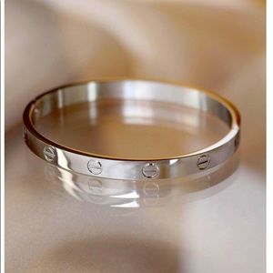 Bracelet,stainless steel, silver plaited